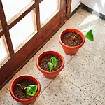 Playa Marina Eco Villa *