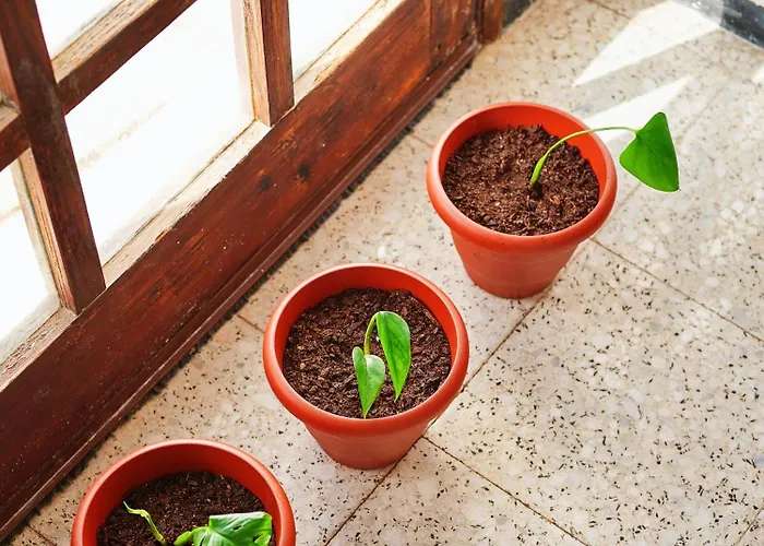 Playa Marina Eco Villa *