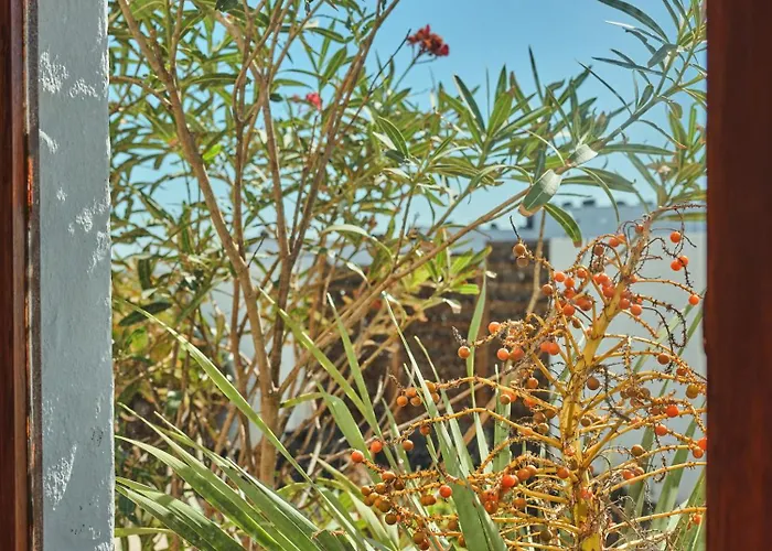 Villa Playa Marina Eco *