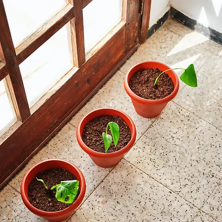 Playa Marina Eco Villa *