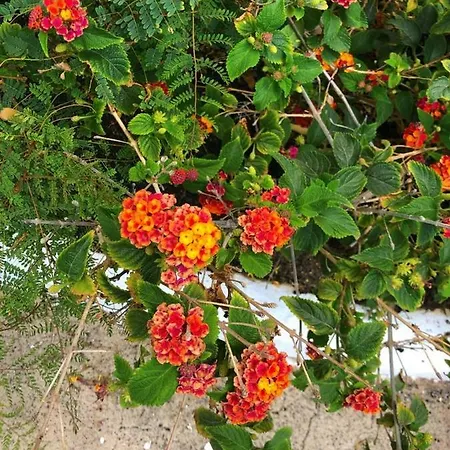 Playa Marina Eco Вилла *