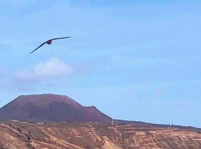 Villa Playa Marina Eco *